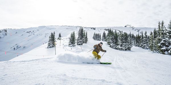 Ski boot bag